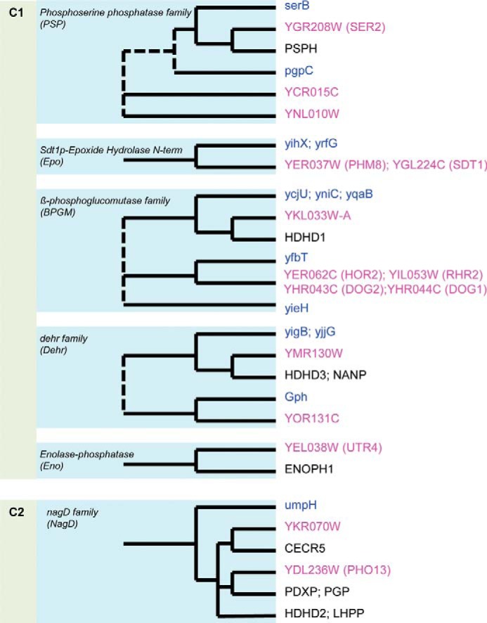 FIGURE 1.