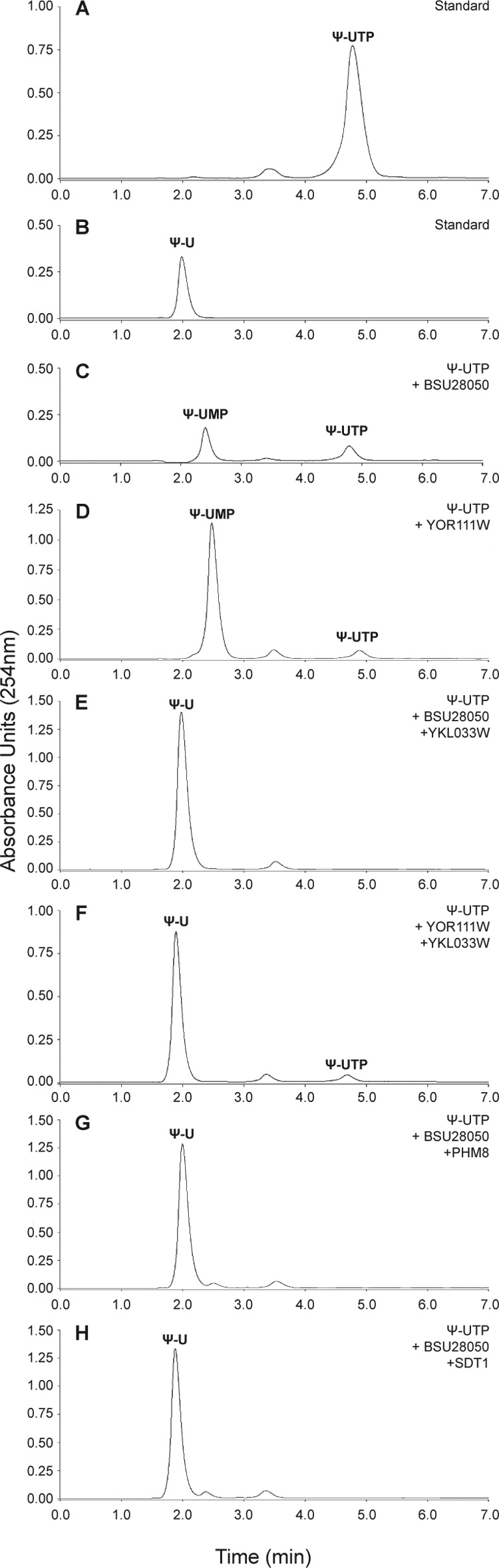 FIGURE 4.