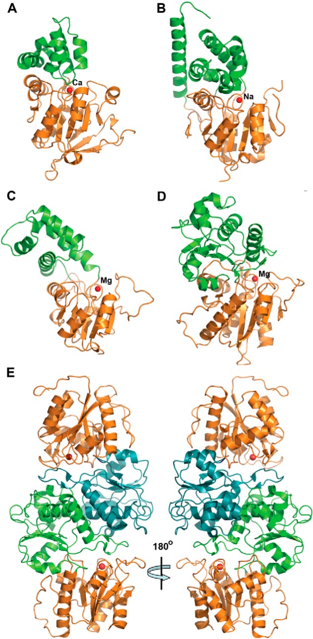 FIGURE 5.