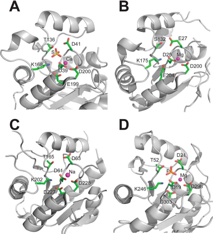 FIGURE 7.