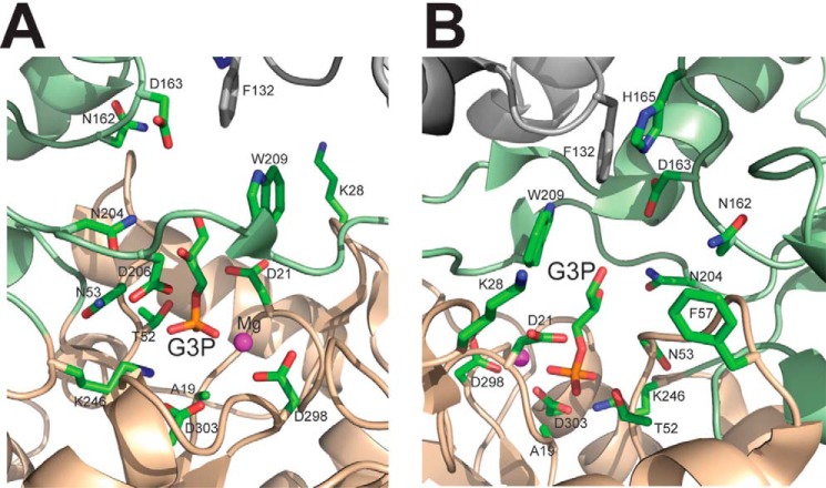 FIGURE 9.