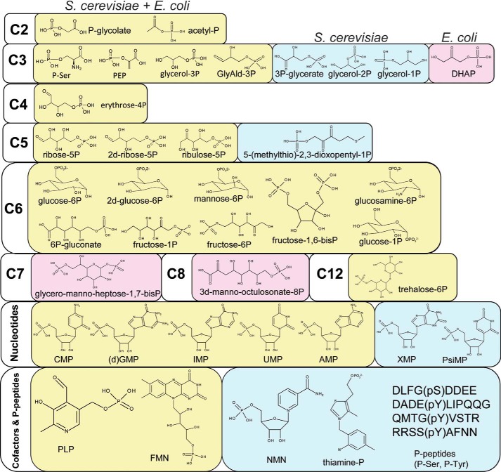 FIGURE 10.