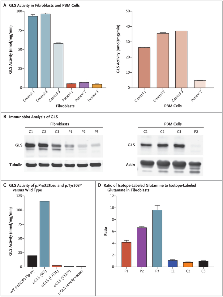 Figure 2 (facing page).