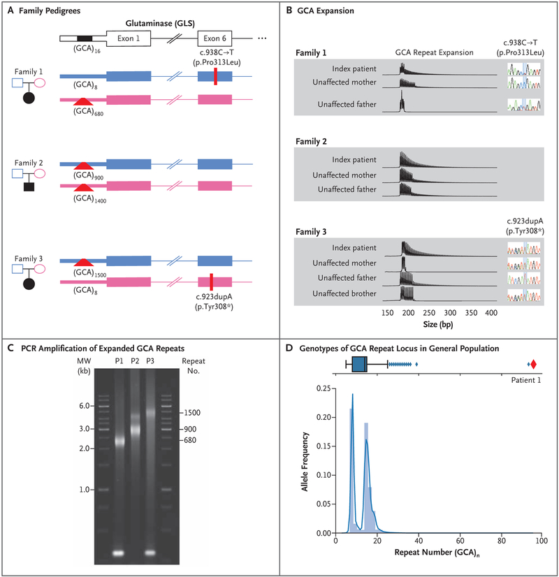 Figure 1 (facing page).