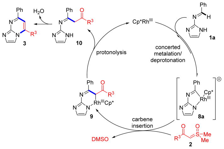 Scheme 8