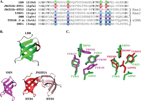 FIGURE 2.