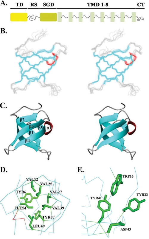 FIGURE 1.