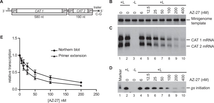 FIG 2