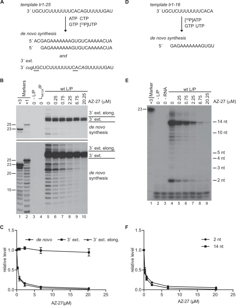 FIG 6