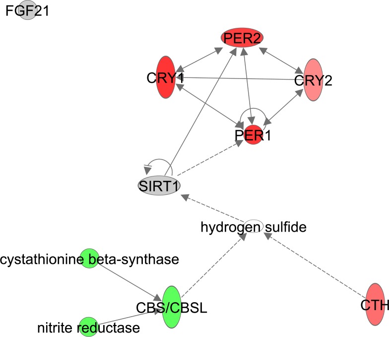 Figure 12