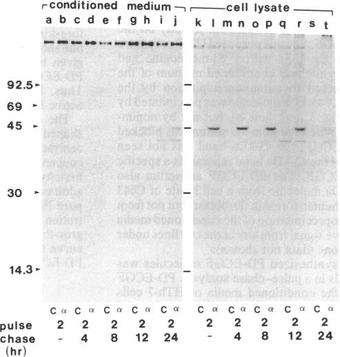 graphic file with name pnas00286-0139-b.jpg