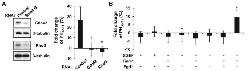 Figure5