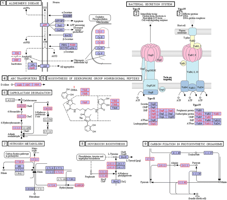 Fig. 7