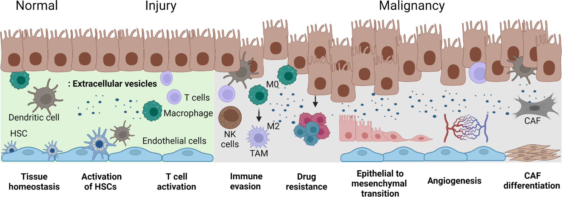 Figure 2: