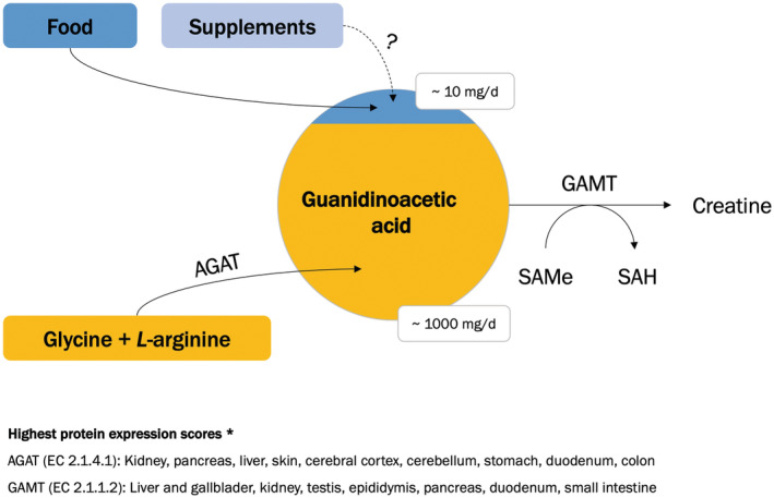 FIGURE 1