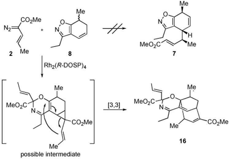 Scheme 4