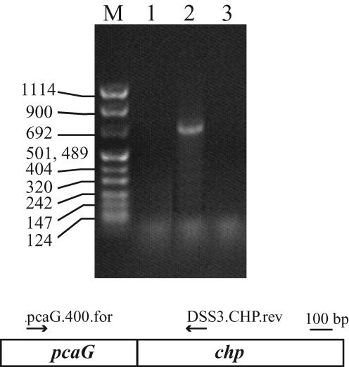 FIG. 5.