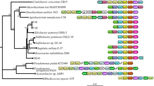 FIG. 4.