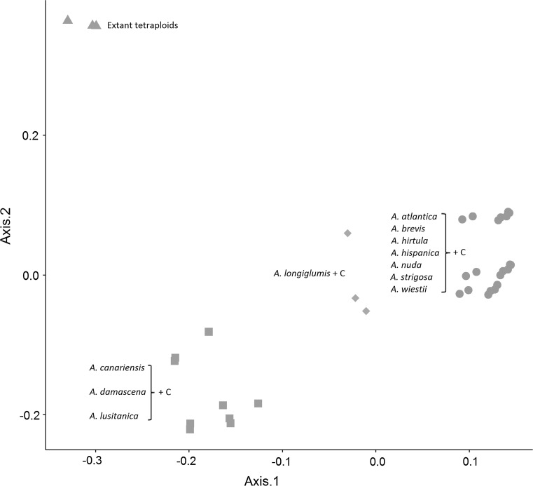 Fig. 3