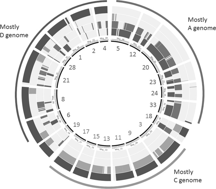 Fig. 4