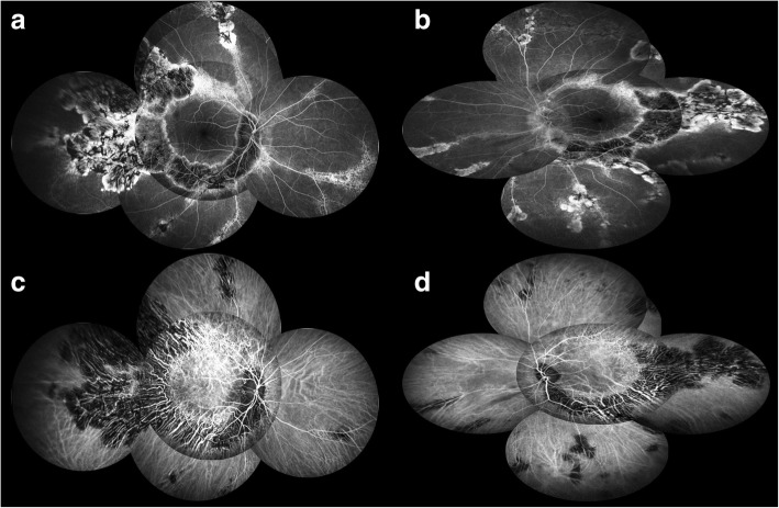 Fig. 3