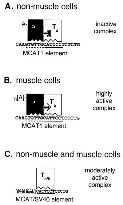 FIG. 10