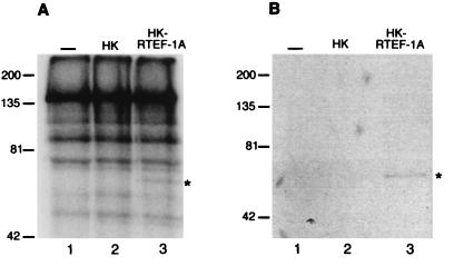 FIG. 8