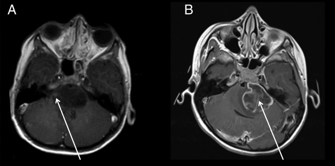 Fig. 1.