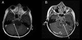 Fig. 1.