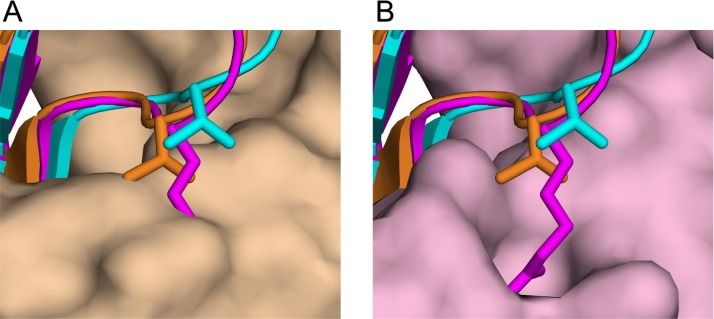 Fig 5