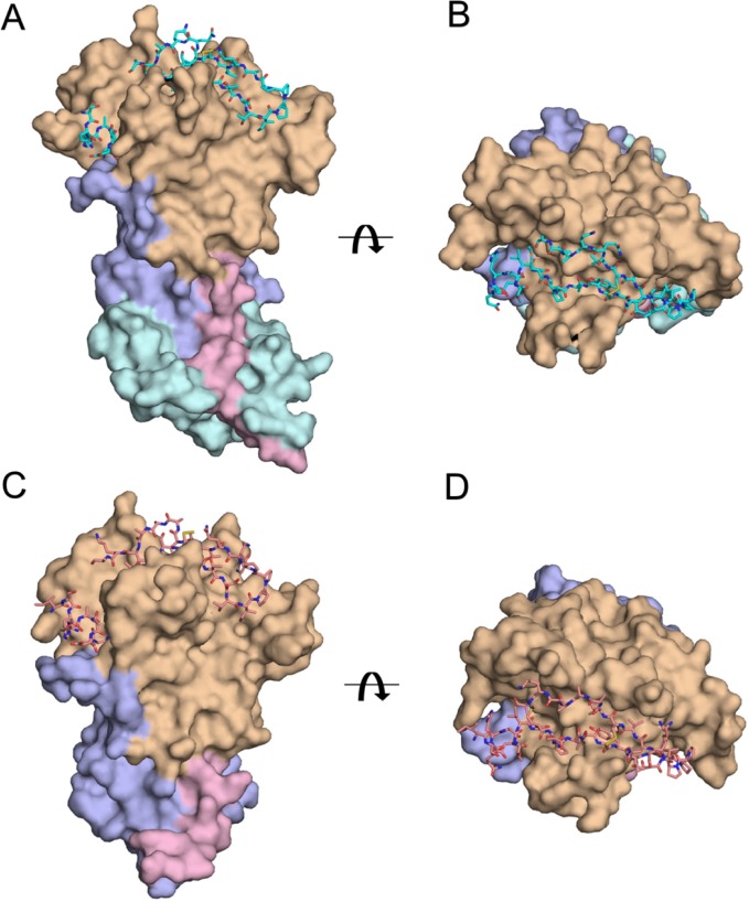 Fig 2