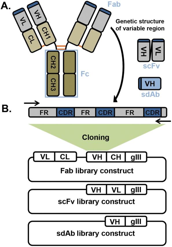 Fig. 1.