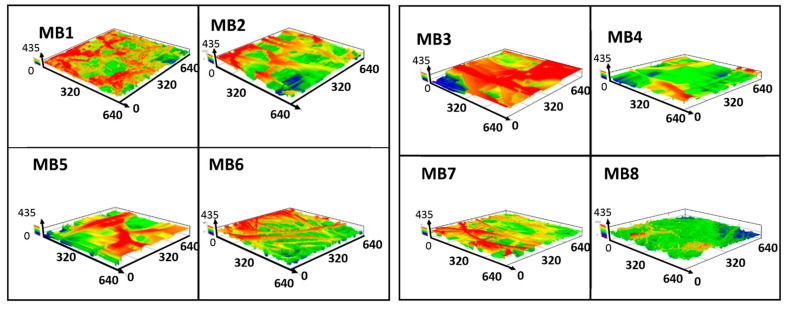 Figure 5