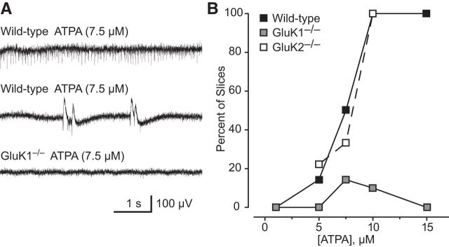 Figure 10.