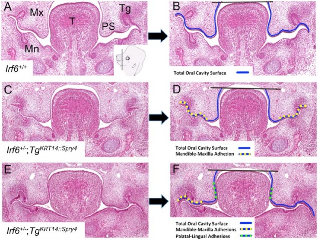 Figure 4.