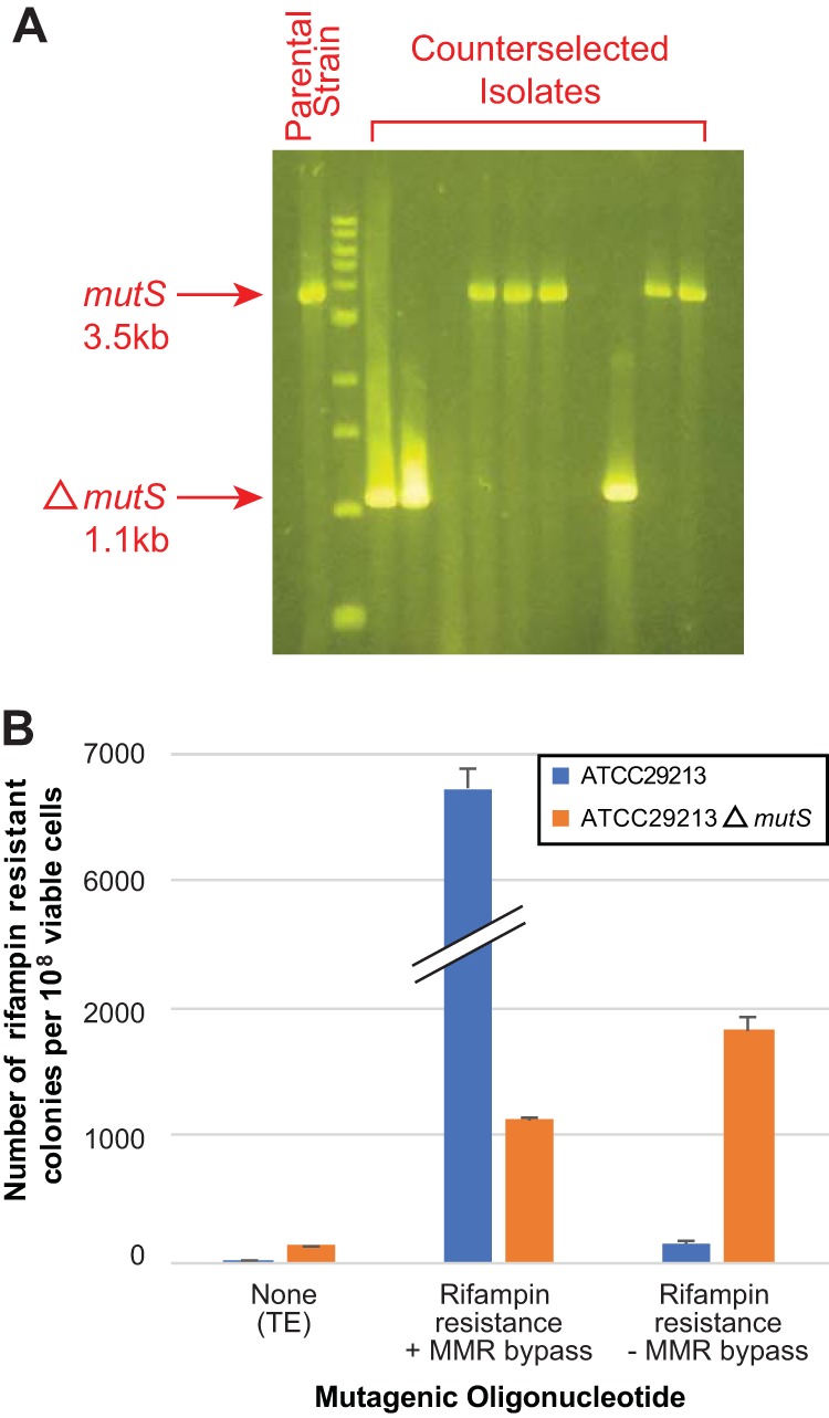 FIG 4 