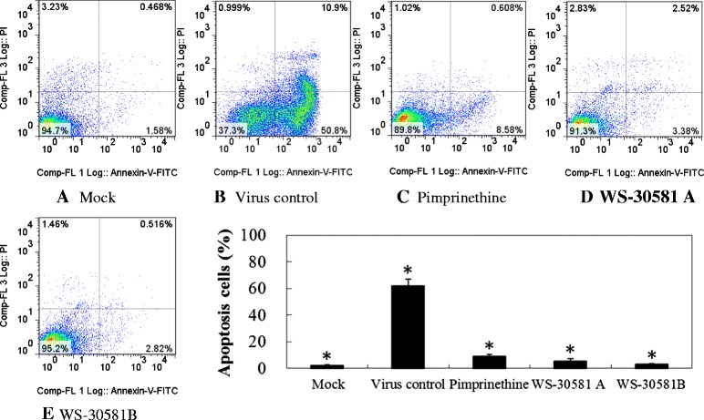 Figure 6