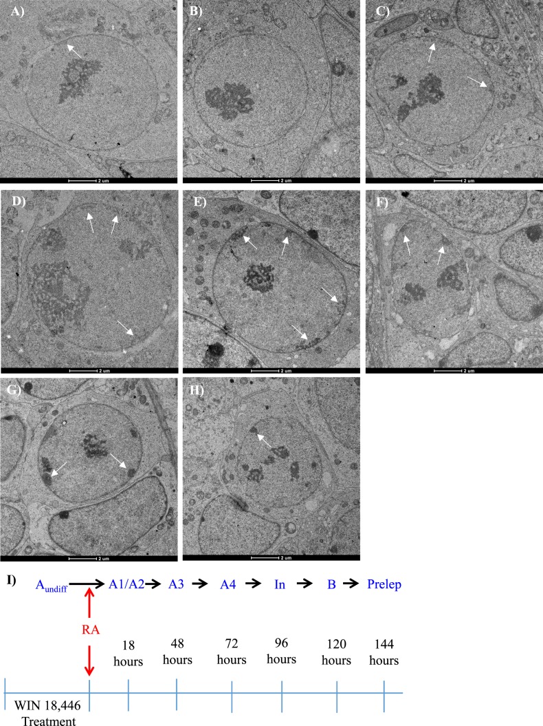 FIG. 8