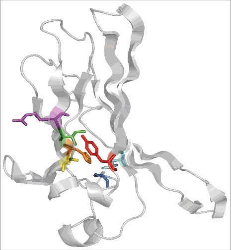 Figure 1.