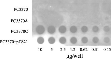 FIG. 5.