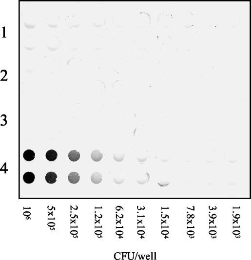 FIG. 4.