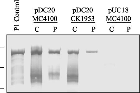 FIG. 7.