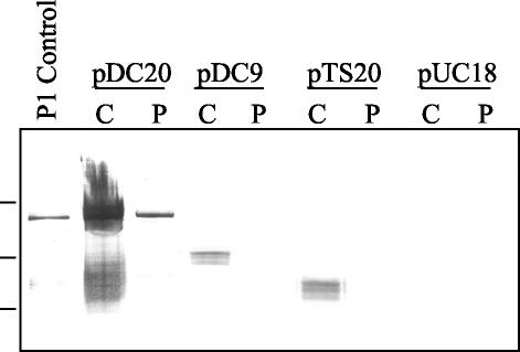 FIG. 6.