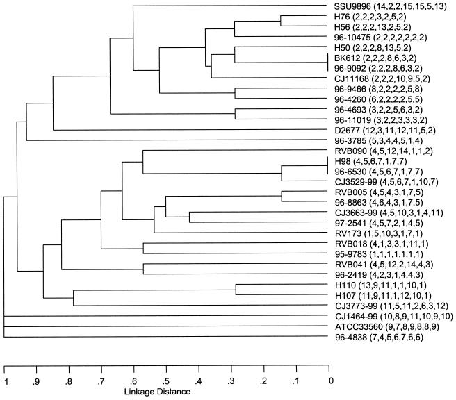 FIG. 1