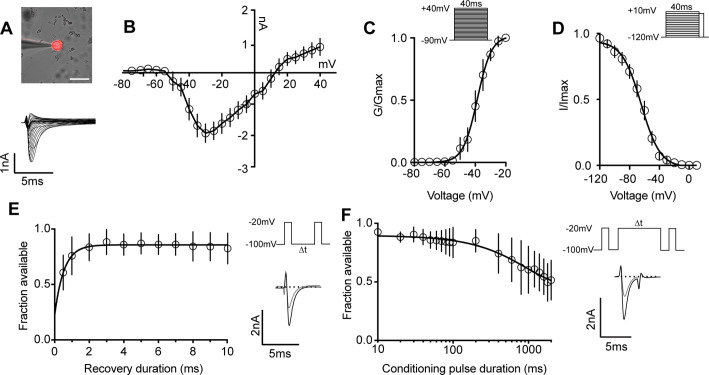 Figure 3.