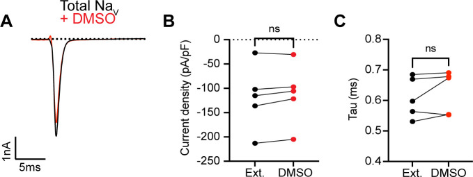 Figure 2—figure supplement 1.