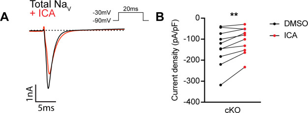 Figure 4—figure supplement 1.