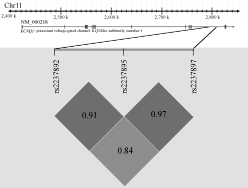 Fig. 1