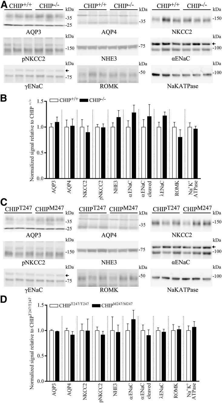 Figure 10.