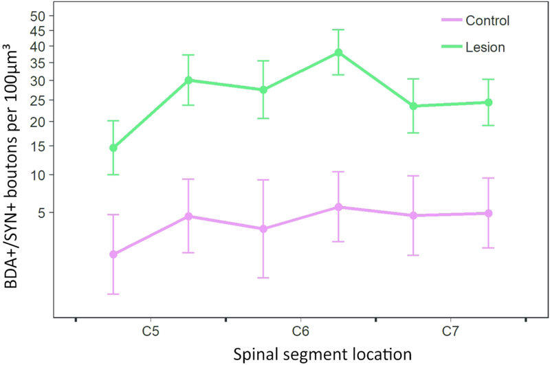 Figure 7.